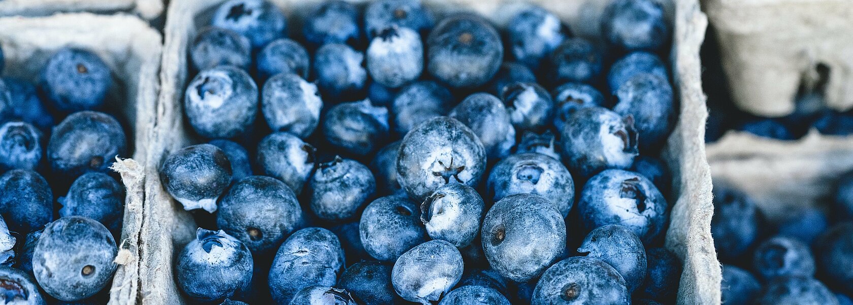 Schalen Heidelbeeren Schalen Heidelbeeren