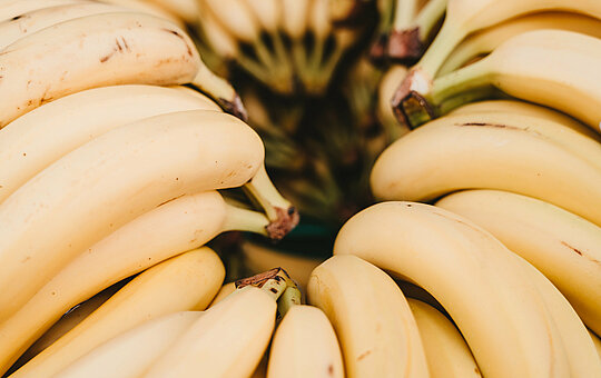 Bananenstaude