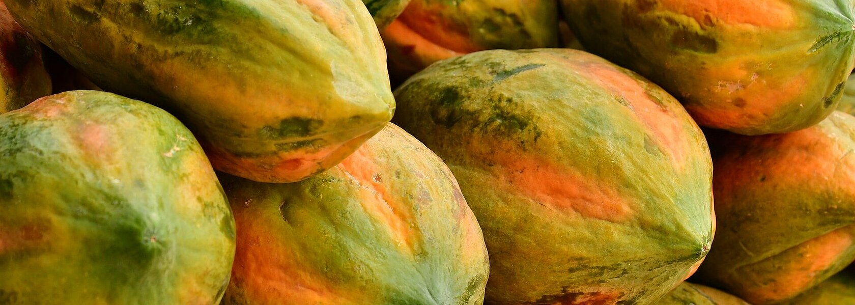 Papaya