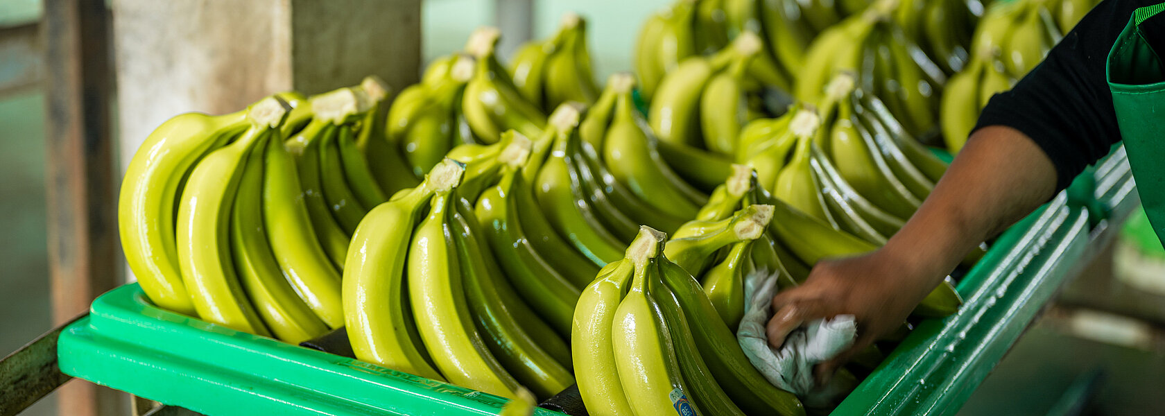 Bananen