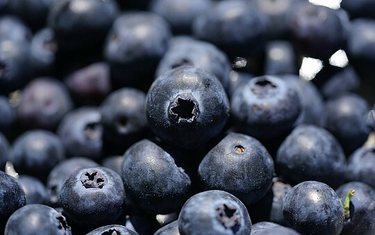 Heidelbeeren