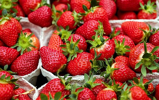 Schalen mit Erdbeeren