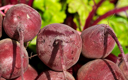 Rote Bete