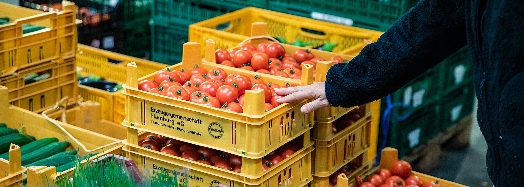 Ein paar Kisten Tomaten von der Erzeugergemeinschaft