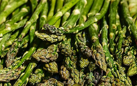 Grüner Spargel