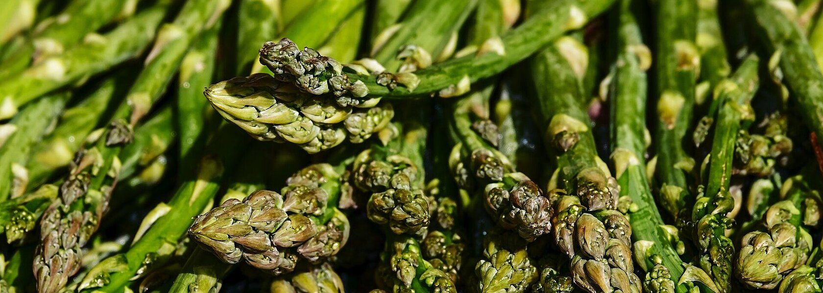 Grüner Spargel