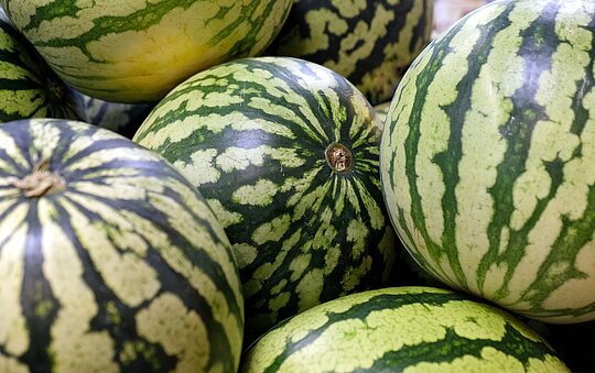 Wassermelonen